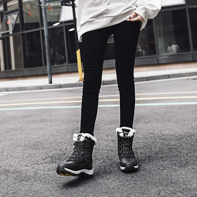Bota karavelas 