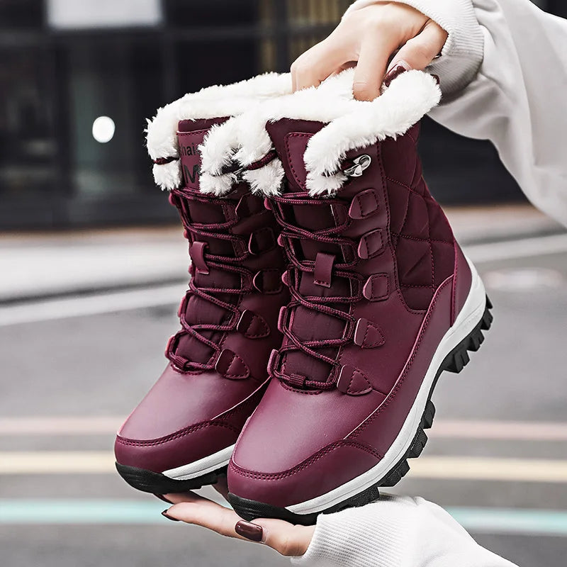 Bota karavelas Bordô 40 